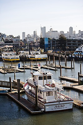 포토 JPG 주간 해외풍경 해외 바다 수상교통 북아메리카 요트 조류 사람 풍경 여러명 야외 건물 아웃포커스 관광지 도시풍경 여행객 미국 도시 쇼핑몰 캘리포니아 마리나 샌프란시스코 선박 국내포토 자연요소 동물 건축물 교통수단 여행 다수 배_교통 촬영기법 아메리카 파일형식