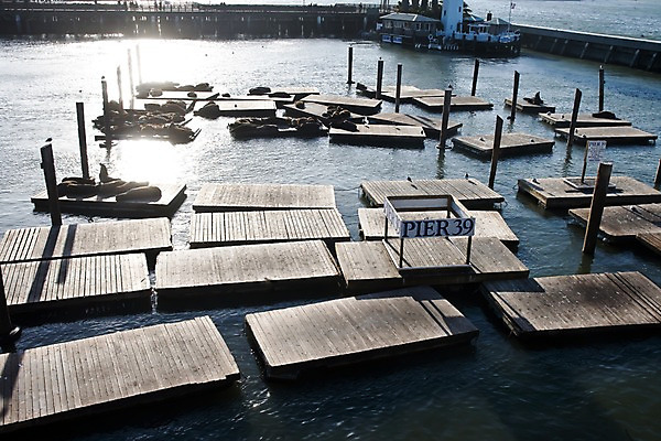 포토 JPG 주간 해외풍경 해외 바다 북아메리카 요트 사람 풍경 야외 관광지 여행객 미국 쇼핑몰 정박 캘리포니아 마리나 샌프란시스코 가교 선박 국내포토 자연요소 건축물 여행 수상교통 배_교통 아메리카 파일형식