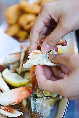 포토 JPG 해외 손 음식 백그라운드 북아메리카 실내 아웃포커스 신체부위 식당 레스토랑 미국 게 쇼핑몰 해산물 캘리포니아 킹크랩 게살 샌프란시스코 국내포토 촬영기법 갑각류 아메리카 사람 내부 상점 파일형식