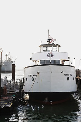 포토 JPG 주간 해외풍경 해외 교통수단 바다 교통 수상교통 북아메리카 갈매기 조류 풍경 사람없음 야외 미국 묶기 정박 샌프란시스코 선박 국내포토 자연요소 동물 배_교통 모션 아메리카 파일형식