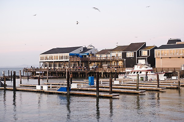 포토 JPG 주간 해외풍경 해외 바다 북아메리카 요트 조류 사람 풍경 여러명 야외 건물 아웃포커스 관광지 도시풍경 여행객 미국 도시 쇼핑몰 캘리포니아 나무다리 샌프란시스코 가교 국내포토 자연요소 동물 건축물 여행 다수 배_교통 촬영기법 아메리카 다리_건축물 파일형식
