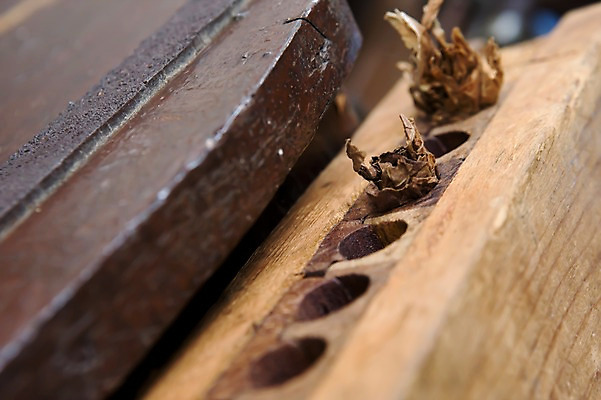 포토 JPG 해외 산업 백그라운드 담배 실내 사람없음 목재 갈색 기계 구멍 작업장 남아메리카 쿠바 아바나 연초 국내포토 나무 컬러 재료 아메리카 내부 중앙아메리카 파일형식