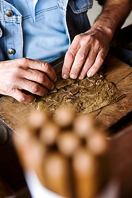 포토 JPG 해외 손 남자 산업 담배 실내 한명 사람 아웃포커스 신체부위 갈색 작업 작업실 남아메리카 쿠바 아바나 작업대 국내포토 1 컬러 촬영기법 아메리카 내부 중앙아메리카 파일형식