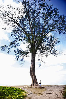 포토 JPG 주간 나무 식물 구름 해외풍경 해외 여자 로우앵글 하늘 한명 사람 풍경 야외 맑음 인도양 세이셸 여자만 여자한명만 국내포토 자연요소 1 바다 뷰포인트 아프리카 날씨 파일형식