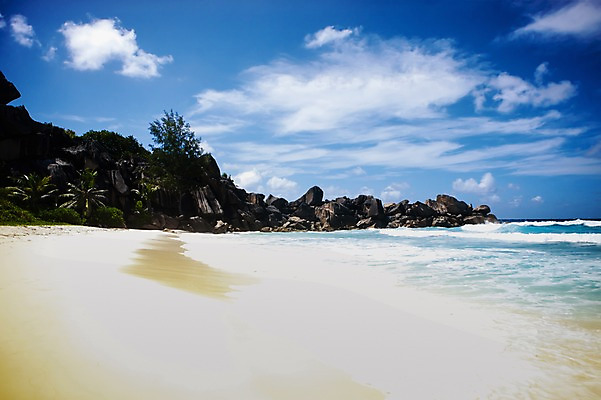 포토 JPG 주간 나무 식물 구름 해외풍경 해외 물결 파도 바다 백그라운드 자연 하늘 풍경 해변 사람없음 야외 모래사장 야자수 돌_바위 바위 휴양지 인도양 세이셸 국내포토 자연요소 아프리카 장소 생태계 파일형식