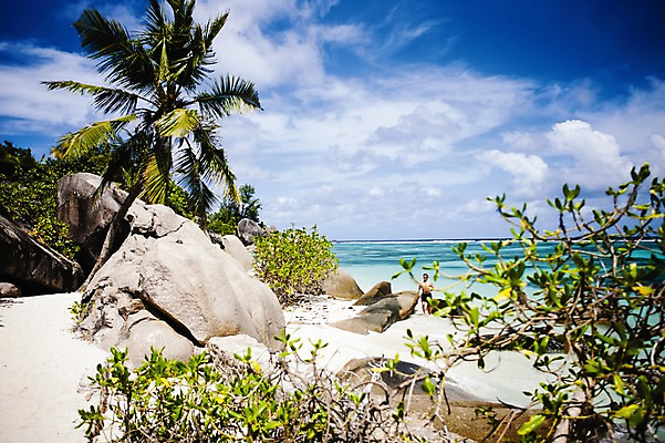 포토 JPG 주간 전신 나무 식물 구름 해외풍경 해외 수영복 바다 백그라운드 자연 하늘 한명 서기 풍경 해변 야외 모래사장 야자수 돌_바위 바위 휴양지 인도양 세이셸 국내포토 자연요소 1 옷 모션 아프리카 사람 장소 생태계 파일형식