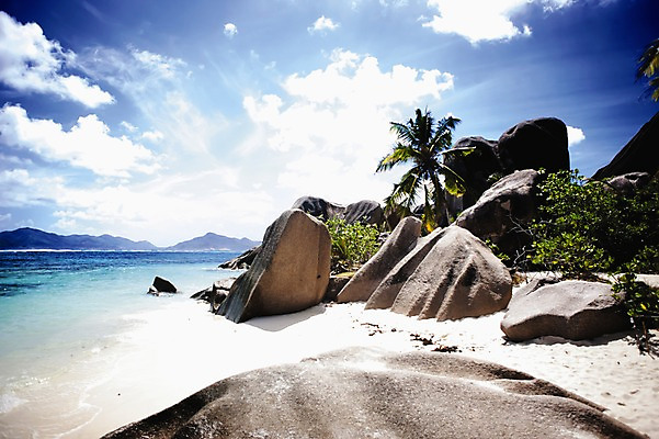 포토 JPG 주간 나무 식물 구름 해외풍경 해외 바다 배경화면 백그라운드 자연 하늘 풍경 해변 사람없음 야외 모래사장 야자수 햇빛 반사 돌_바위 바위 휴양지 인도양 세이셸 국내포토 자연요소 아프리카 태양 장소 생태계 파일형식