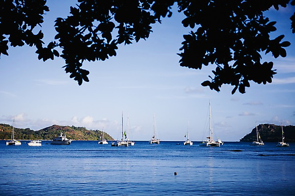 포토 JPG 주간 나무 식물 해외풍경 해외 교통수단 바다 백그라운드 요트 자연 산 풍경 사람없음 야외 보트 휴양지 인도양 세이셸 선박 국내포토 자연요소 교통 수상교통 배_교통 아프리카 장소 생태계 파일형식