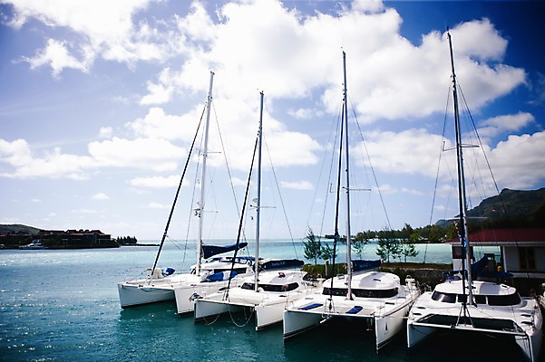 포토 JPG 주간 나무 식물 구름 해외풍경 해외 건축물 교통수단 바다 백그라운드 요트 자연 하늘 산 풍경 사람없음 야외 건물 항구 보트 댐 휴양지 인도양 세이셸 선박 국내포토 자연요소 공공시설 건축 교통 수상교통 배_교통 교통시설 아프리카 장소 생태계 파일형식