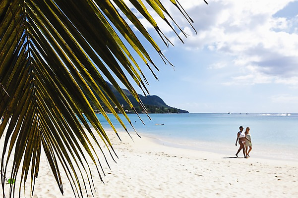 포토 JPG 주간 전신 나무 식물 해외풍경 해외 여자 바다 백그라운드 잎 자연 휴가 서기 사람 풍경 해변 야외 두명 여름휴가 바캉스 모래사장 걷기 휴양지 인도양 세이셸 여자만 국내포토 자연요소 모션 아프리카 장소 생태계 파일형식 여름_계절