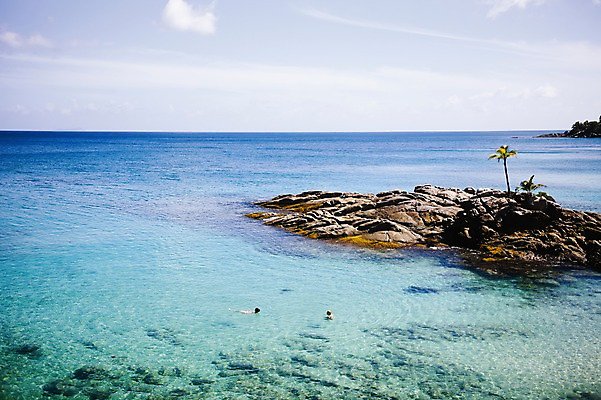 포토 JPG 주간 나무 식물 해외풍경 해외 스포츠 바다 백그라운드 자연 풍경 야외 두명 야자수 수영 돌_바위 바위 수상스포츠 스노클링 잠수 휴양지 인도양 세이셸 국내포토 자연요소 아프리카 사람 장소 생태계 파일형식