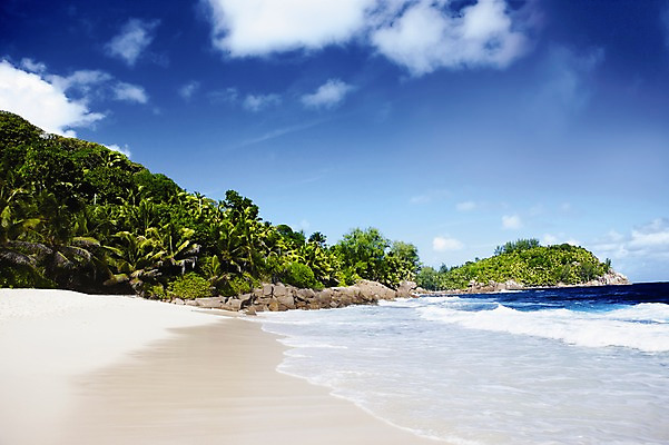 포토 JPG 주간 나무 식물 구름 해외풍경 해외 파도 바다 배경화면 백그라운드 자연 하늘 풍경 해변 사람없음 야외 모래사장 야자수 휴양지 인도양 세이셸 국내포토 자연요소 아프리카 장소 생태계 파일형식