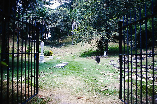 포토 JPG 주간 나무 식물 해외풍경 해외 시설물 종교 백그라운드 낙엽 사람없음 야외 무덤 공동묘지 빈티지 풀 비석 대문 철문 세이셸 국내포토 자연요소 건축물 컨셉 잎 아프리카 풍경 문 파일형식