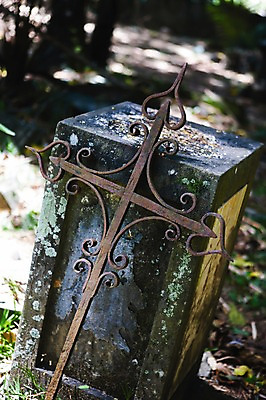 포토 JPG 주간 해외풍경 해외 시설물 종교 백그라운드 이끼 사람없음 야외 무덤 공동묘지 빈티지 비석 세이셸 국내포토 자연요소 건축물 컨셉 아프리카 풍경 파일형식