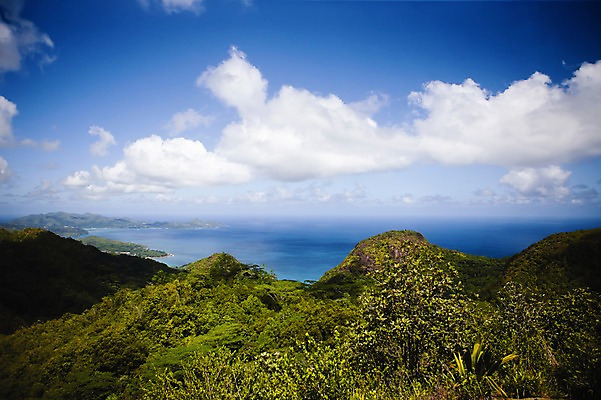 포토 JPG 주간 나무 식물 구름 해외풍경 해외 바다 배경화면 백그라운드 자연 하늘 산 풍경 사람없음 야외 정상 휴양지 인도양 세이셸 국내포토 자연요소 아프리카 장소 생태계 파일형식