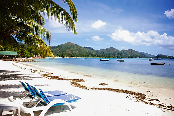 포토 JPG 주간 구름 해외풍경 해외 바다 수상교통 자연 하늘 풍경 해변 사람없음 야외 모래사장 야자수 맑음 선베드 인도양 세이셸 선박 국내포토 자연요소 나무 교통수단 의자 아프리카 날씨 생태계 파일형식