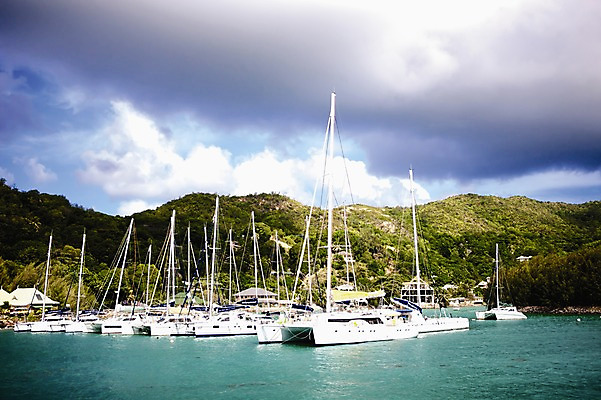 포토 JPG 주간 나무 구름 해외풍경 해외 바다 수상교통 요트 하늘 산 풍경 사람없음 야외 정박 인도양 세이셸 흐림 선박 국내포토 자연요소 식물 교통수단 배_교통 아프리카 날씨 파일형식