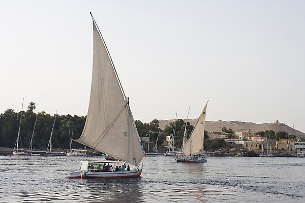 포토 JPG 주간 나무 식물 해외풍경 해외 건축물 교통수단 바다 외국문화 백그라운드 요트 중동 레저 이집트 사람 풍경 여러명 야외 건물 강 보트 돛 아스완 선박 국내포토 자연요소 건축 나라 문화 다수 교통 수상교통 배_교통 아프리카 파일형식