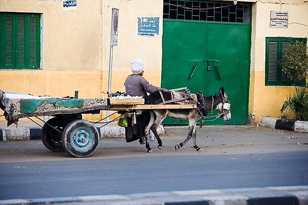 포토 JPG 주간 동물 해외풍경 해외 건축물 건축 도로 교통수단 외국문화 백그라운드 유적 중동 거리 이집트 한명 사람 앉기 풍경 야외 건물 수레 표지판 마차 당나귀 아스완 국내포토 자연요소 1 전통 나라 문화 길 교통 교통시설 모션 아프리카 알림판 카트 말_동물 파일형식
