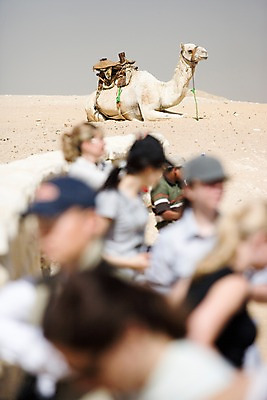 포토 JPG 주간 동물 해외풍경 해외 건축 모래 외국문화 백그라운드 유적 중동 이집트 사람 풍경 근접촬영 여러명 야외 아웃포커스 낙타 아스완 국내포토 자연요소 전통 나라 문화 뷰포인트 다수 포유류 아프리카 촬영기법 파일형식