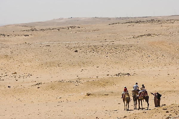 포토 JPG 주간 동물 해외풍경 해외 건축 모래 교통수단 외국문화 백그라운드 유적 중동 이집트 사람 풍경 초원 여러명 야외 사막 낙타 아스완 국내포토 자연요소 전통 나라 문화 다수 교통 포유류 아프리카 파일형식