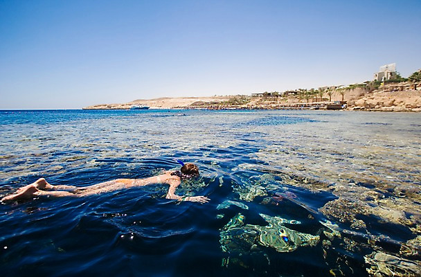 포토 JPG 주간 전신 나무 식물 해외풍경 해외 여자 수영복 바다 백그라운드 중동 이집트 한명 사람 풍경 해변 야외 수영 수상스포츠 스노클링 물안경 잠수 아스완 여자만 여자한명만 국내포토 자연요소 1 옷 나라 스포츠 아프리카 수영용품 파일형식
