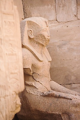 포토 JPG 주간 해외풍경 해외 건축물 건축 조각 외국문화 백그라운드 유적 중동 이집트 풍경 사람없음 야외 조각상 룩소르 스핑크스 조각_조소 국내포토 자연요소 전통 나라 문화 아프리카 조형물 조소 파일형식