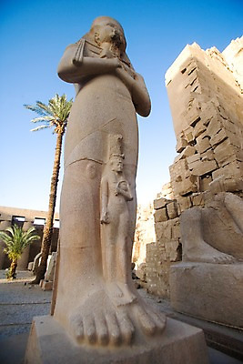 포토 JPG 주간 나무 식물 해외풍경 해외 건축물 건축 조각 외국문화 백그라운드 유적 중동 이집트 풍경 사람없음 야외 조각상 피규어 석상 룩소르 조각_조소 국내포토 자연요소 전통 나라 문화 아프리카 조형물 미니어처 조소 파일형식