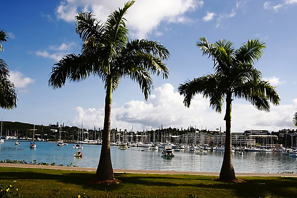 포토 JPG 주간 나무 식물 구름 해외풍경 해외 건축물 바다 백그라운드 요트 자연 하늘 풍경 잔디 사람없음 야외 야자수 마을 항구 보트 오세아니아 댐 휴양지 뉴칼레도니아 선박 국내포토 자연요소 공공시설 건축 나라 수상교통 배_교통 교통시설 장소 생태계 파일형식