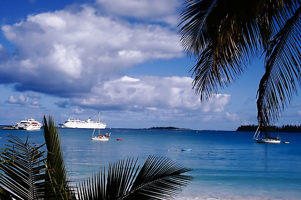 포토 JPG 주간 나무 식물 구름 해외풍경 해외 바다 백그라운드 요트 자연 하늘 나뭇잎 풍경 사람없음 야외 보트 오세아니아 유람선 휴양지 뉴칼레도니아 선박 국내포토 자연요소 나라 수상교통 잎 배_교통 장소 생태계 파일형식