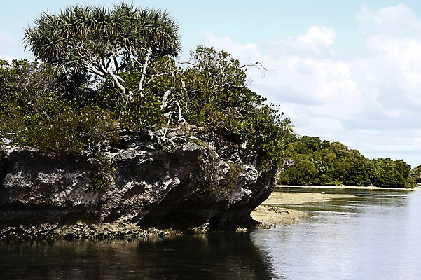 포토 JPG 주간 나무 식물 구름 해외풍경 해외 바다 자연 하늘 사람없음 야외 돌_바위 바위 오세아니아 뉴칼레도니아 국내포토 자연요소 나라 풍경 생태계 파일형식