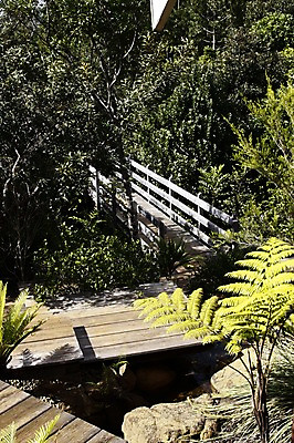 포토 JPG 주간 식물 해외풍경 해외 자연 풍경 사람없음 야외 다리 오세아니아 숲 뉴칼레도니아 블루리버파크 가교 국내포토 자연요소 건축물 나라 생태계 파일형식