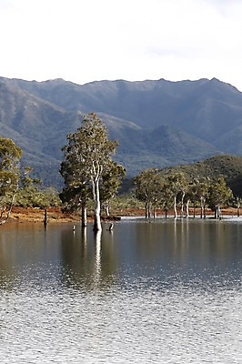 포토 JPG 주간 나무 식물 해외풍경 해외 호수 백그라운드 자연 산 풍경 사람없음 야외 강 오세아니아 휴양지 뉴칼레도니아 국내포토 자연요소 나라 장소 생태계 파일형식