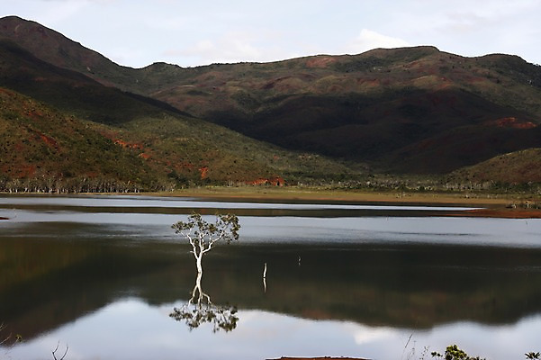 포토 JPG 주간 나무 식물 해외풍경 해외 호수 자연 산 풍경 사람없음 야외 관광지 반사 죽음 오세아니아 숲 뉴칼레도니아 야떼호수 국내포토 자연요소 나라 여행 생태계 파일형식