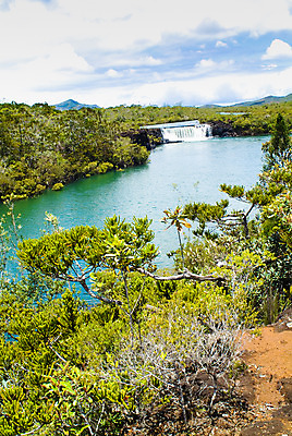 포토 JPG 주간 나무 식물 구름 해외풍경 해외 자연 하늘 풍경 사람없음 야외 폭포 오세아니아 뉴칼레도니아 누메아 블루리버파크 국내포토 자연요소 나라 생태계 파일형식