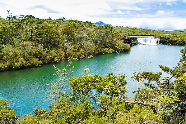 포토 JPG 주간 나무 식물 구름 해외풍경 해외 호수 백그라운드 자연 하늘 산 풍경 사람없음 야외 강 폭포 오세아니아 휴양지 뉴칼레도니아 누메아 블루리버파크 국내포토 자연요소 나라 장소 생태계 파일형식