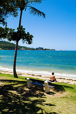 포토 JPG 주간 나무 식물 해외풍경 해외 남자 여유 바다 백그라운드 벤치 의자 자연 하늘 휴식 한명 사람 앉기 풍경 잔디 해변 야외 뒷모습 야자수 오세아니아 휴양지 뉴칼레도니아 누메아 남자만 남자한명만 국내포토 자연요소 1 감정 나라 뷰포인트 가구 컨셉 모션 장소 생태계 파일형식