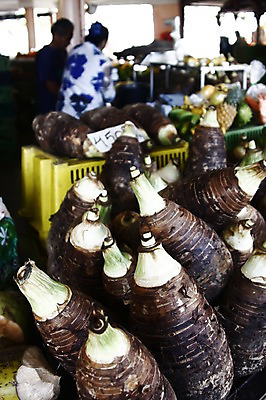 포토 JPG 주간 외국인 식물 해외풍경 해외 음식 사람 야외 아웃포커스 시장 오세아니아 뉴칼레도니아 누메아 타로 국내포토 자연요소 나라 촬영기법 인종 풍경 트럼프 파일형식