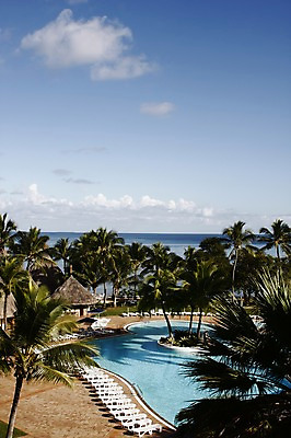 포토 JPG 주간 나무 식물 구름 해외풍경 해외 시설물 바다 백그라운드 의자 자연 하늘 리조트 수영장 풍경 사람없음 야외 야자수 풀장 오세아니아 휴양지 선베드 원두막 뉴칼레도니아 국내포토 자연요소 건축물 나라 가구 장소 생태계 파일형식