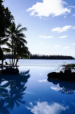 포토 JPG 주간 나무 식물 구름 해외풍경 해외 바다 백그라운드 자연 하늘 풍경 사람없음 야외 야자수 반사 오세아니아 휴양지 뉴칼레도니아 국내포토 자연요소 나라 장소 생태계 파일형식