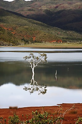 포토 JPG 주간 나무 식물 해외풍경 해외 호수 백그라운드 자연 산 풍경 사람없음 야외 강 반사 오세아니아 휴양지 뉴칼레도니아 국내포토 자연요소 나라 장소 생태계 파일형식
