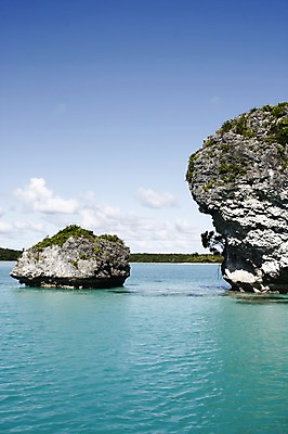 포토 JPG 주간 나무 식물 해외풍경 해외 바다 섬 백그라운드 자연 풍경 사람없음 야외 돌_바위 바위 오세아니아 휴양지 바위섬 뉴칼레도니아 국내포토 자연요소 나라 장소 생태계 파일형식