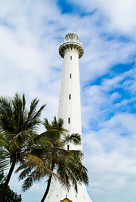 포토 JPG 주간 나무 식물 구름 해외풍경 해외 시설물 건축물 건축 백그라운드 자연 하늘 등대 풍경 사람없음 야외 야자수 탑 기둥 오세아니아 휴양지 뉴칼레도니아 아메데섬 국내포토 자연요소 나라 섬 장소 생태계 파일형식