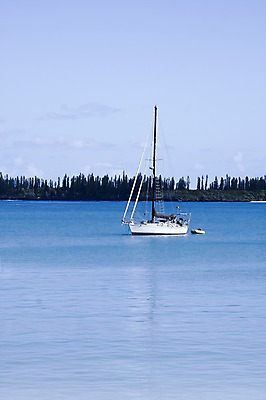 포토 JPG 주간 나무 식물 해외풍경 해외 바다 백그라운드 요트 자연 풍경 사람없음 야외 보트 오세아니아 휴양지 뉴칼레도니아 선박 국내포토 자연요소 나라 수상교통 배_교통 장소 생태계 파일형식