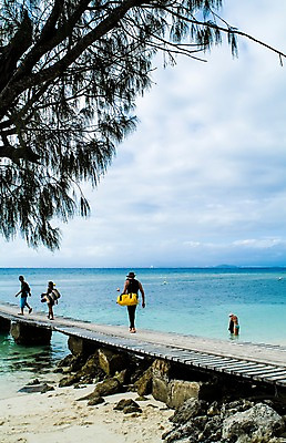 포토 JPG 주간 전신 나무 식물 해외풍경 해외 시설물 건축물 바다 백그라운드 가방 자연 하늘 서기 들기 사람 풍경 여러명 야외 돌_바위 바위 오세아니아 휴양지 뉴칼레도니아 아메데섬 가교 국내포토 자연요소 잡화 건축 나라 섬 다수 모션 장소 생태계 파일형식