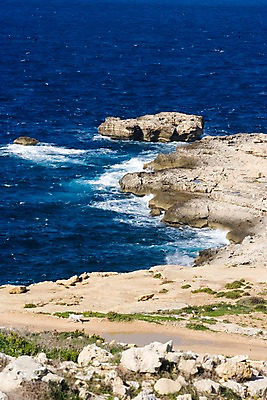 포토 JPG 주간 동물 한마리 해외풍경 해외 파도 바다 자연 풍경 해변 사람없음 야외 관광지 절벽 돌_바위 개 지중해 몰타 고조 라임스톤 국내포토 자연요소 1 유럽 여행 포유류 생태계 파일형식