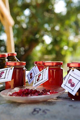 포토 JPG 주간 나무 식물 그릇 식기 접시 열매 음식 백그라운드 과일 유리병 통 요리 근접촬영 사람없음 야외 라이프 생활 아웃포커스 빨간색 쇼핑 잼 유기농 석류 국내포토 자연요소 웰빙 뷰포인트 컬러 병_용기 촬영기법 소스_음식 파일형식