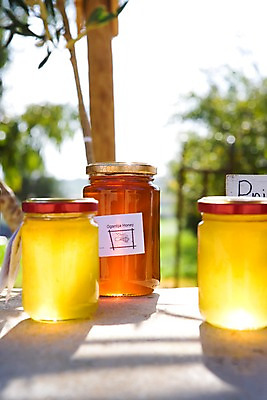 포토 JPG 주간 나무 식물 음식 백그라운드 유리병 근접촬영 사람없음 야외 아웃포커스 쇼핑 노란색 병 유기농 꿀 국내포토 자연요소 식기 웰빙 뷰포인트 컬러 병_용기 촬영기법 파일형식