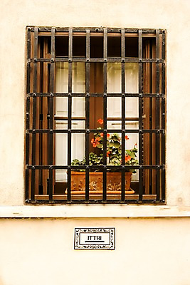 포토 JPG 주간 해외풍경 해외 외관 꽃 화분 벽 백그라운드 창문 주택 사람없음 야외 건물 발코니 몰타 방범창 국내포토 자연요소 식물 건축물 유럽 풍경 파일형식