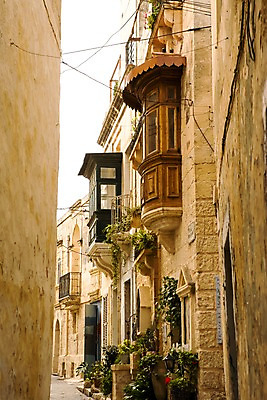 포토 JPG 주간 해외풍경 해외 건축물 꽃 화분 외국문화 여행 창문 하늘 풍경 사람없음 야외 건물 관광지 도시 골목길 몰타 라임스톤 국내포토 자연요소 식물 건축 유럽 문화 길 파일형식